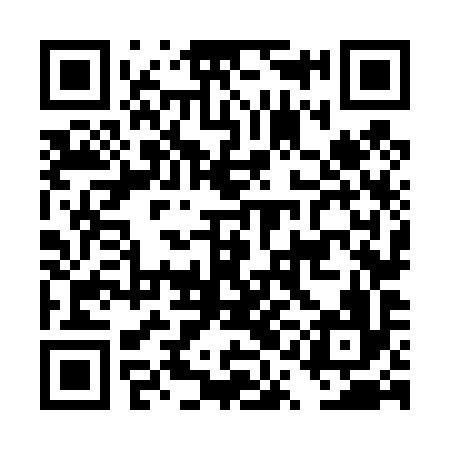 QR code for DQN496