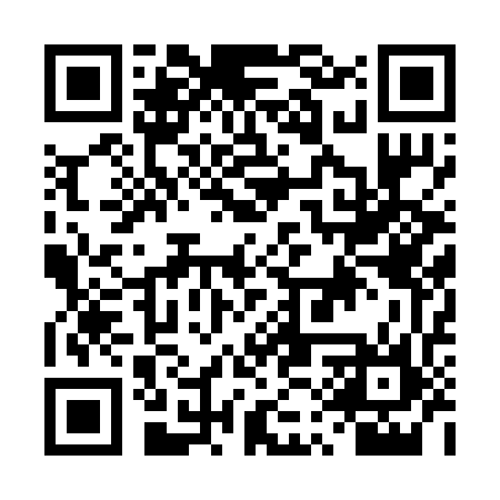 QR code for DQP276