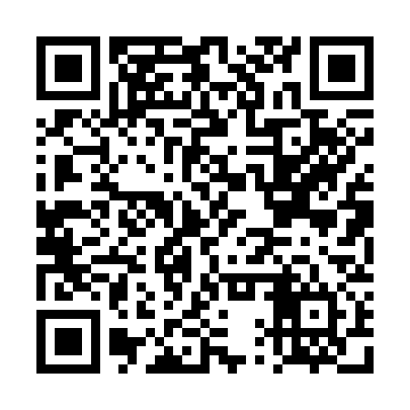 QR code for DQP334