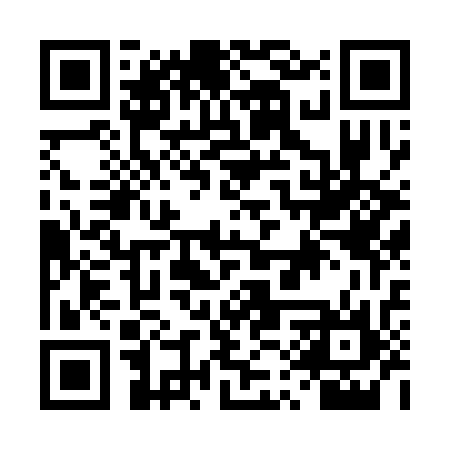 QR code for DQR336