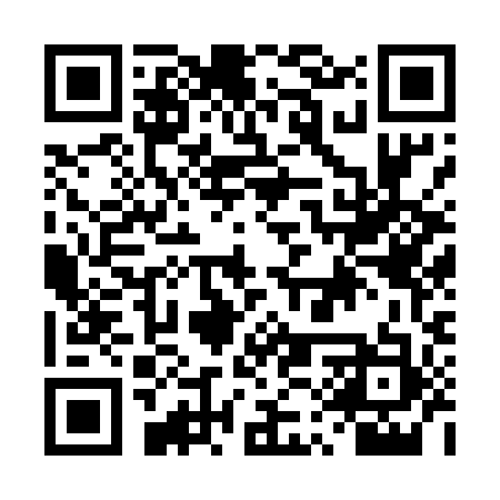 QR code for DQR593