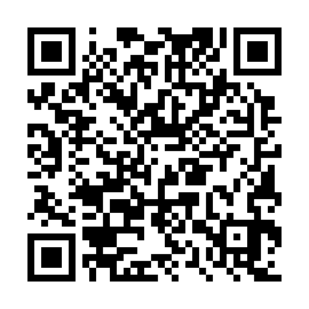 QR code for DQU333