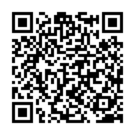 QR code for DQX228