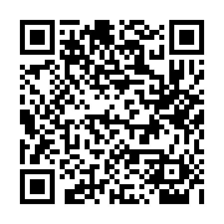 QR code for DQX300