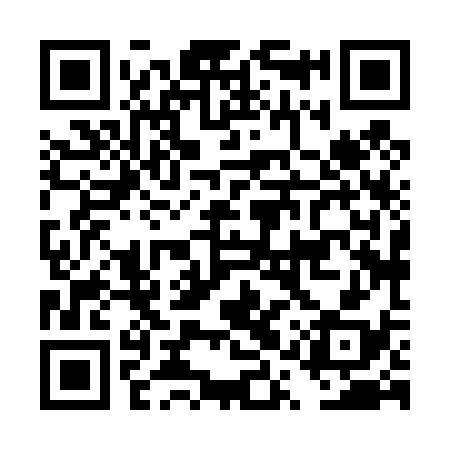 QR code for DQX438