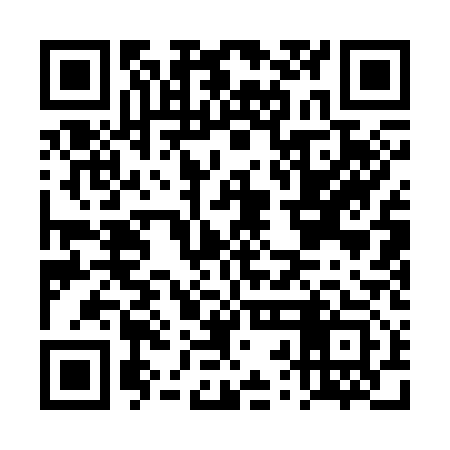 QR code for DRA313