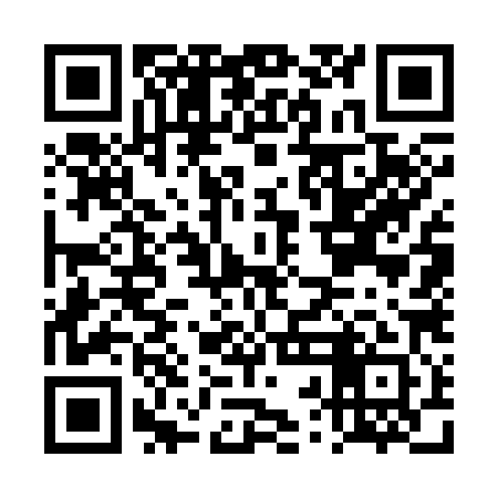 QR code for DRG381