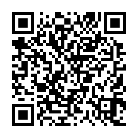 QR code for DSA311