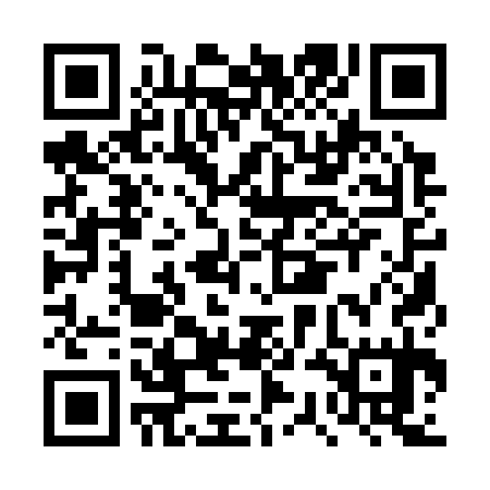 QR code for DSA335