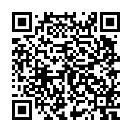 QR code for DSA489