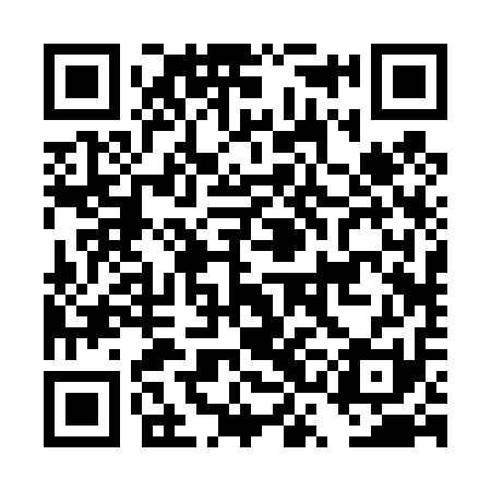 QR code for DSB411