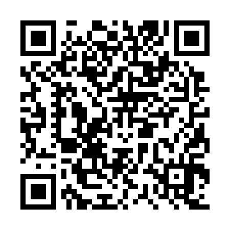 QR code for DSC314