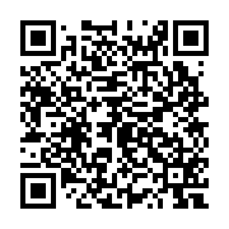 QR code for DSC355
