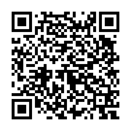 QR code for DSC460