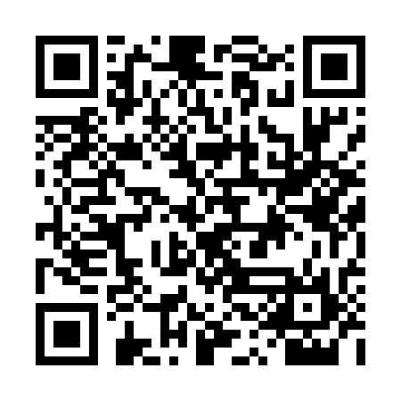 QR code for DSD536