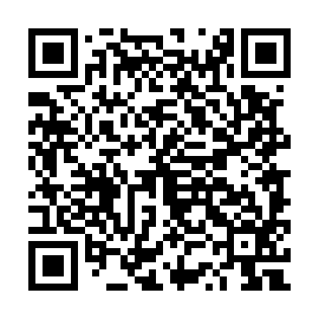 QR code for DSD596