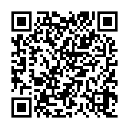 QR code for DSD938
