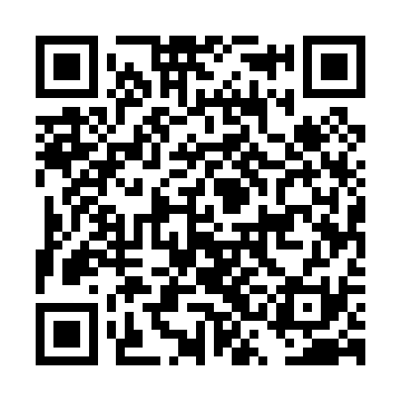 QR code for DSE031