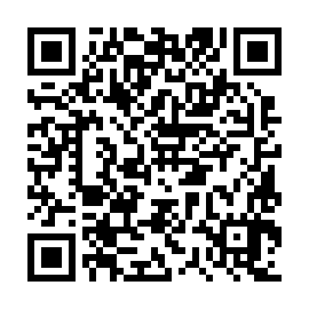 QR code for DSE287