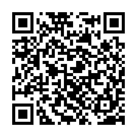 QR code for DSE394