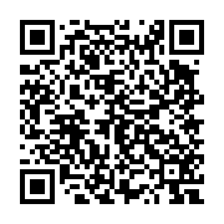 QR code for DSE456