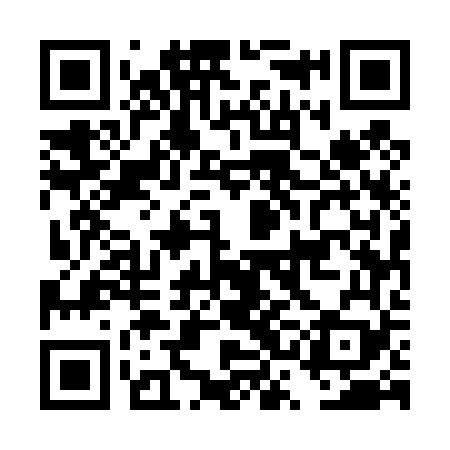 QR code for DSE469
