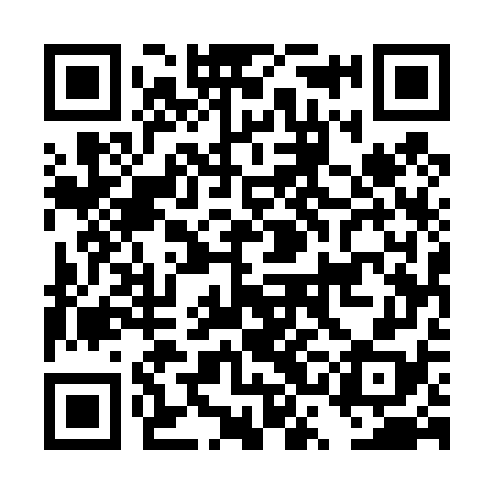 QR code for DSE478