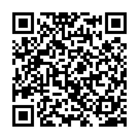 QR code for DSE535
