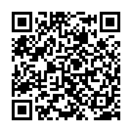 QR code for DSE991
