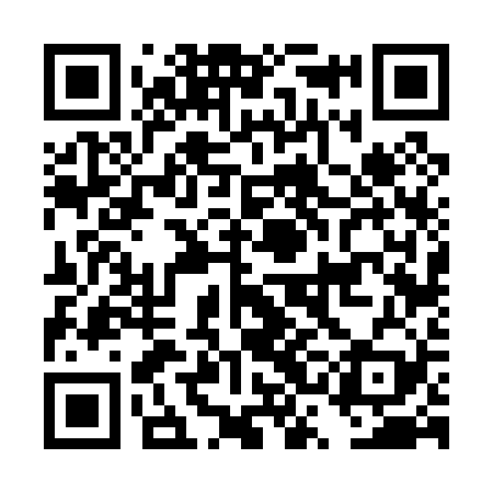QR code for DSF029