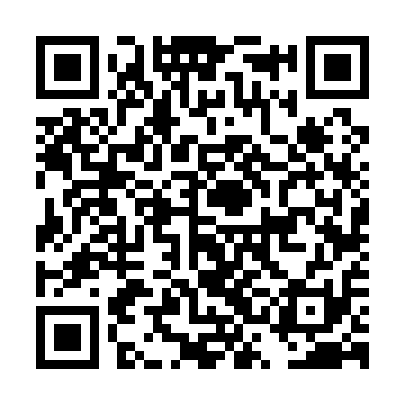 QR code for DSF111