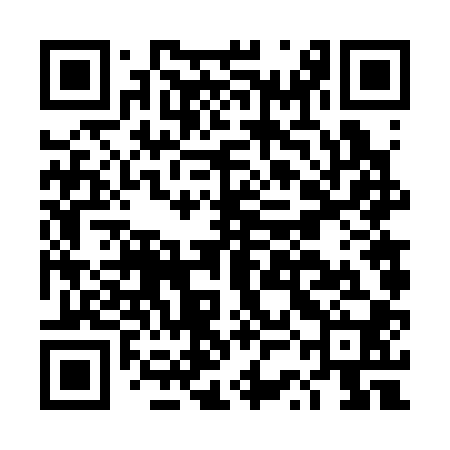 QR code for DSF300