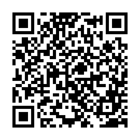 QR code for DSF346