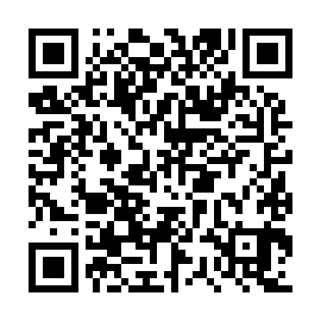QR code for DSF981