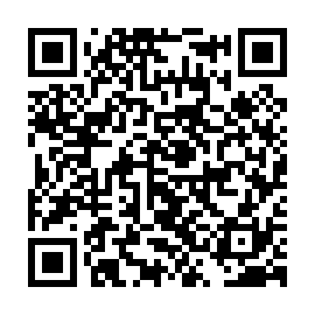 QR code for DSG030