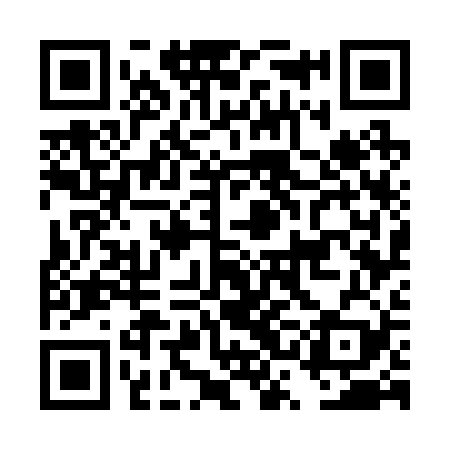 QR code for DSG229