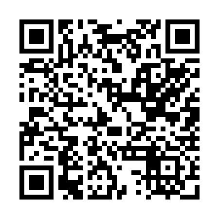 QR code for DSG233
