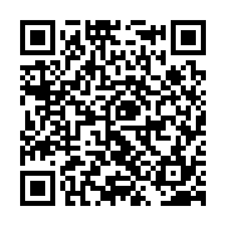 QR code for DSG334
