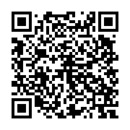 QR code for DSG407