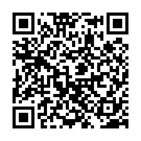 QR code for DSG530