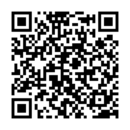 QR code for DSG535