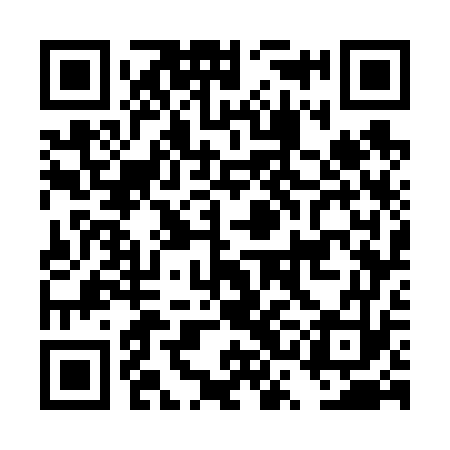 QR code for DSG673