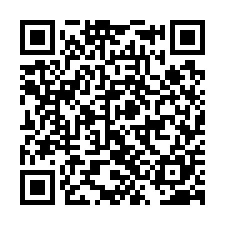 QR code for DSG705