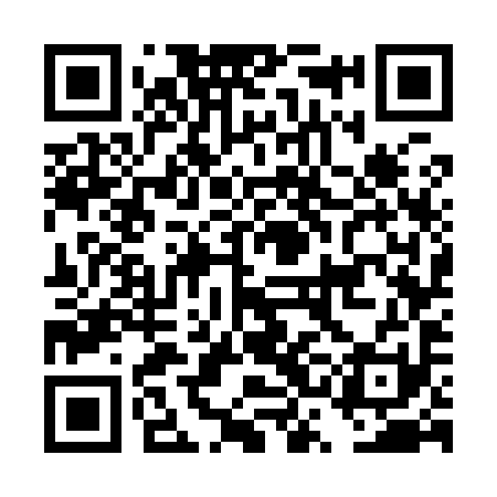 QR code for DSG991