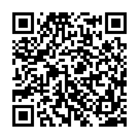 QR code for DSH336