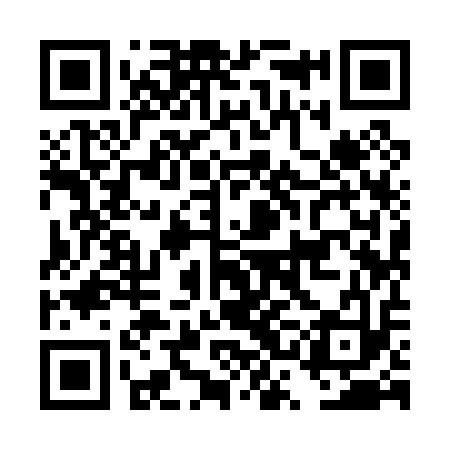 QR code for DSI013