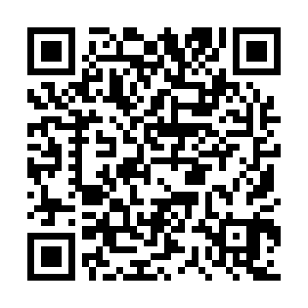 QR code for DSI101