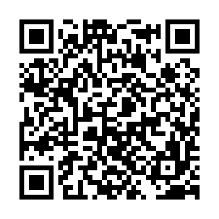 QR code for DSI196