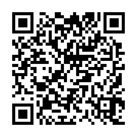 QR code for DSI302