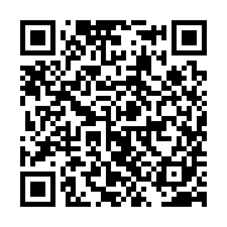 QR code for DSI381